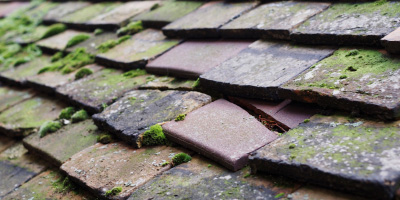 Takeley roof repair costs